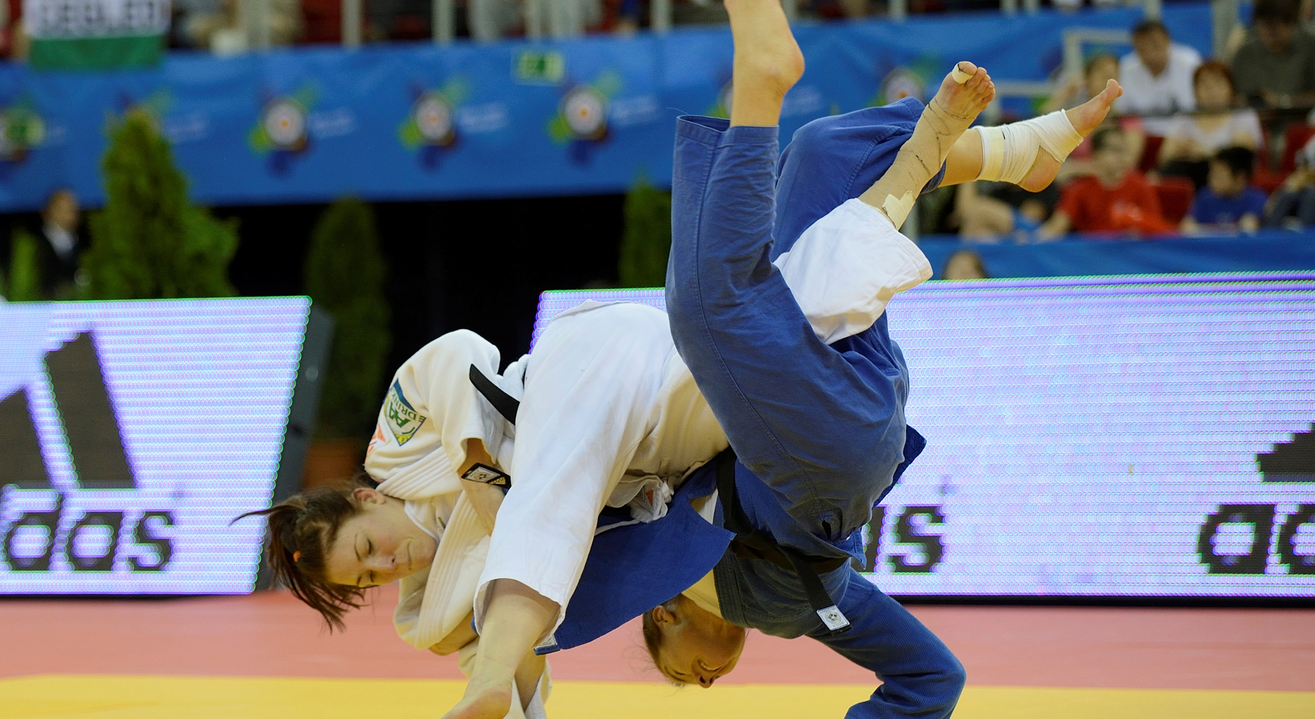 pics Judo Nederland Olympische Spelen judo