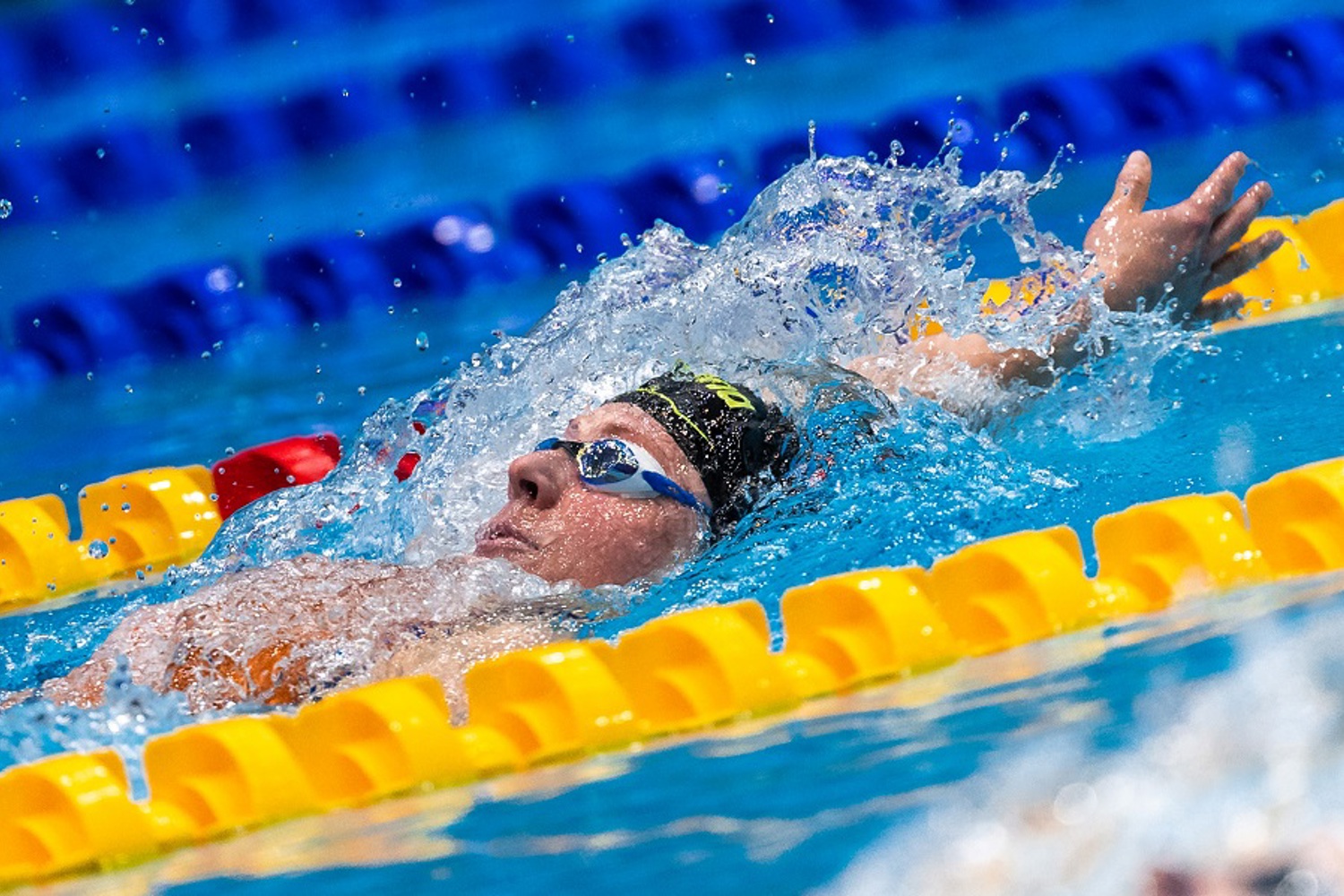 Zwemmen tijdens de Olympische Spelen in Parijs 2024 TeamNL